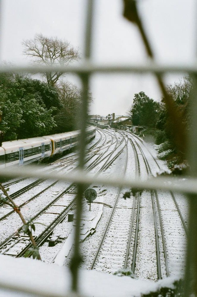 Aldous Squire - Winters Clipped wing