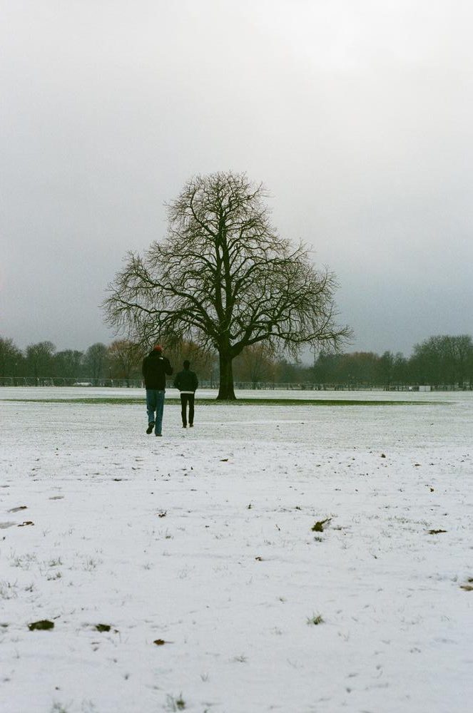 Aldous Squire - Winters Clipped wing